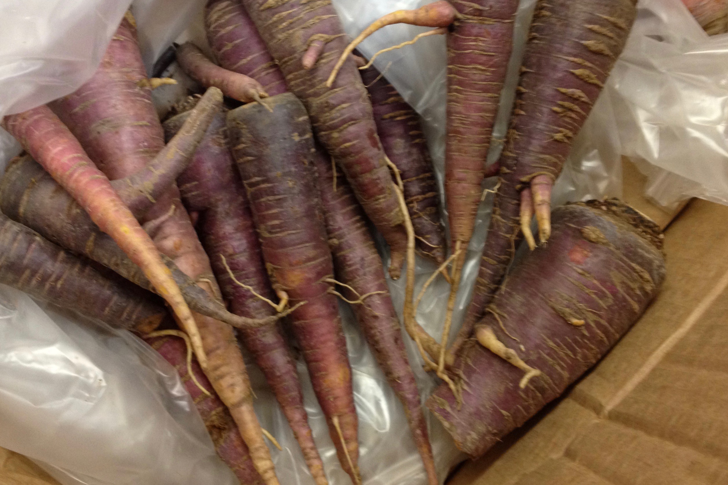 Purple carrot